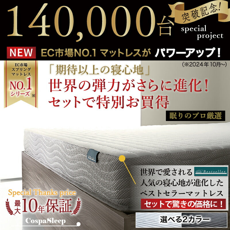 【新商品】組立設置サービス付き ベッド 棚コンセント付き ロータイプ/Skyline2 ベストセラーモデルマットレス付 ダブル 送料無料