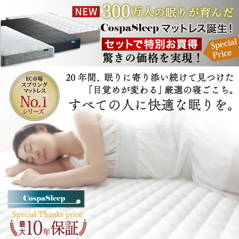 【新商品】組立設置サービス付き ベッド 棚コンセント付き ロータイプ/Skyline2 匠モデルマットレス付 ダブル 送料無料