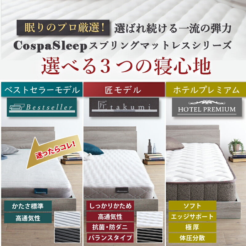 【新商品】組立設置サービス付き ベッド 棚コンセント付き ロータイプ/Skyline2 ベストセラーモデルマットレス付 ダブル 送料無料