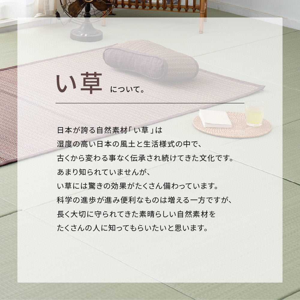 い草ラグ 南風 191×191cm 送料無料