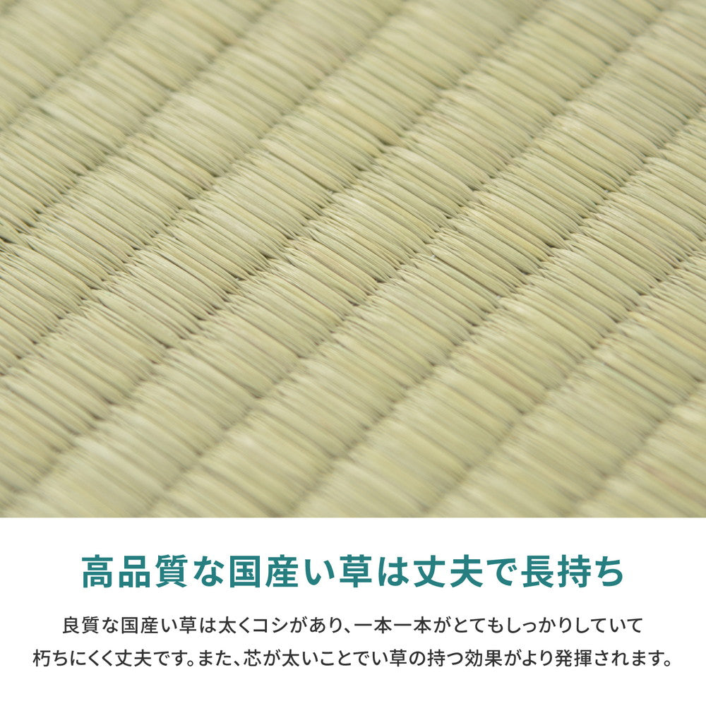 国産い草カーペット 天草 江戸間 3帖(174×261) 送料無料