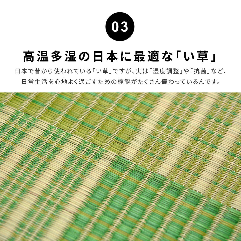 収納簡単 い草ふっくらラグ クレパス 240×240cm 送料無料