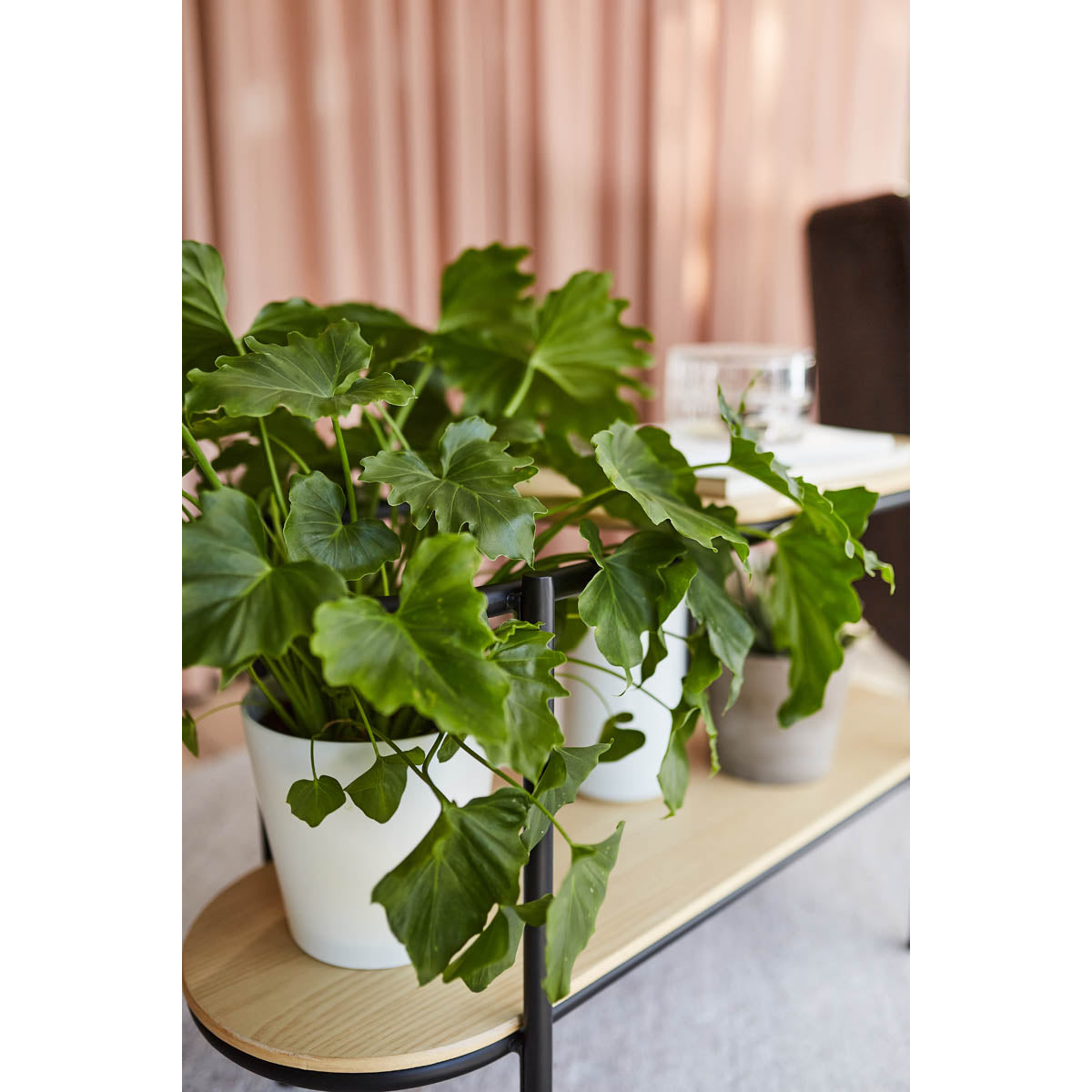 ロー シェルフ W870×D330×H530mm