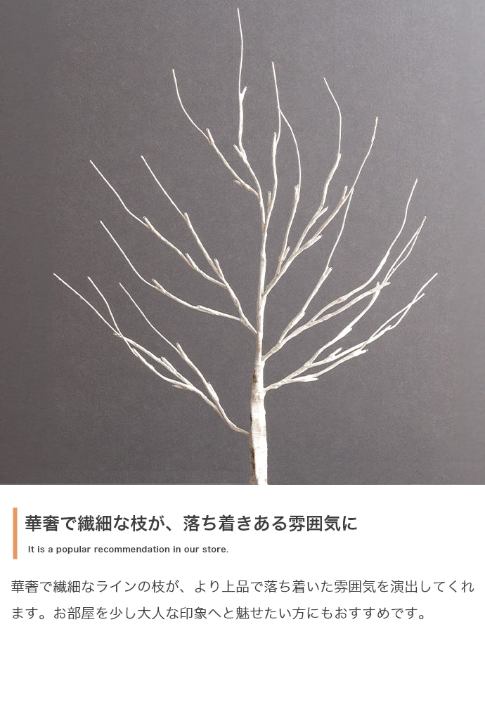 白樺風ツリー 高さ60cm