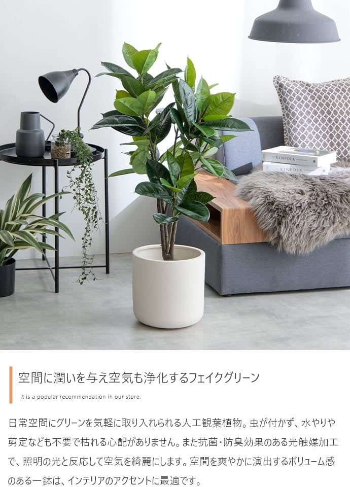 光触媒人工観葉植物 ゴムの木 高さ95cm - 【公式】allecore(アレコレ) 家具インテリア・生活雑貨のオンライン通販