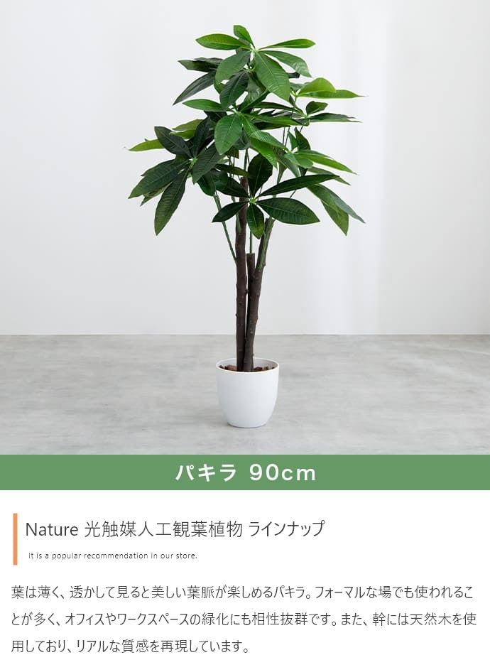光触媒人工観葉植物 ゴムの木 高さ95cm - 【公式】allecore(アレコレ) 家具インテリア・生活雑貨のオンライン通販