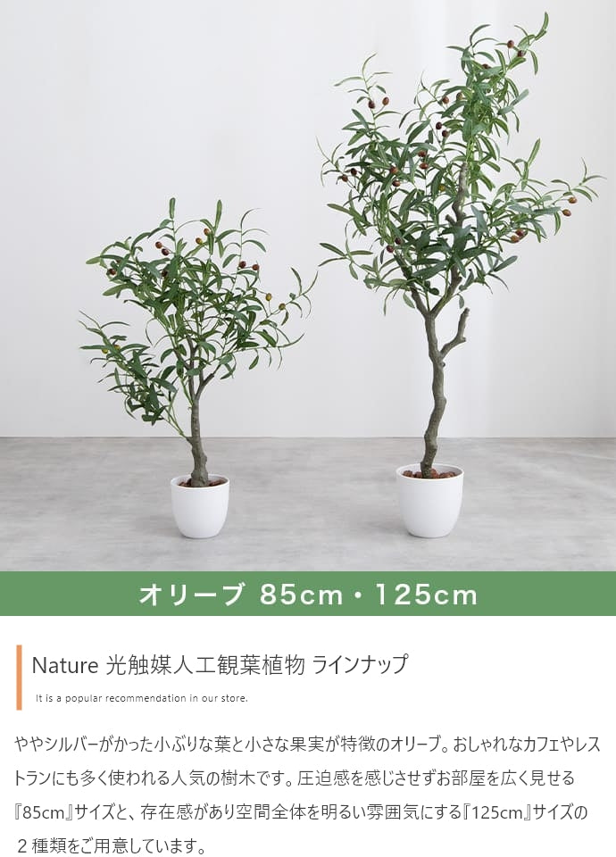 光触媒人工観葉植物 ゴムの木 高さ95cm - 【公式】allecore(アレコレ) 家具インテリア・生活雑貨のオンライン通販