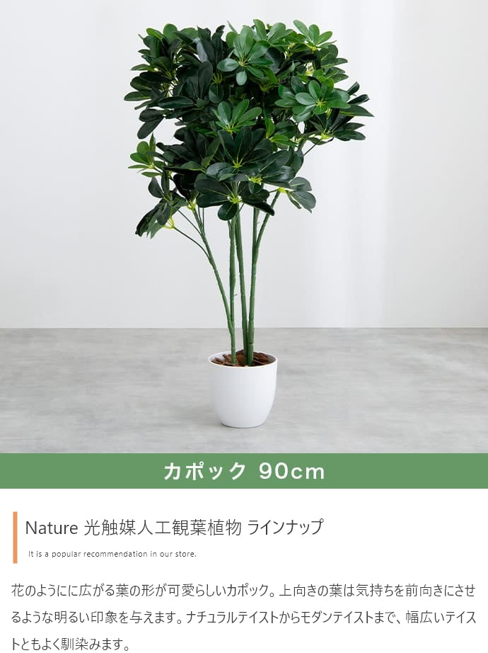 光触媒人工観葉植物 ゴムの木 高さ95cm - 【公式】allecore(アレコレ) 家具インテリア・生活雑貨のオンライン通販