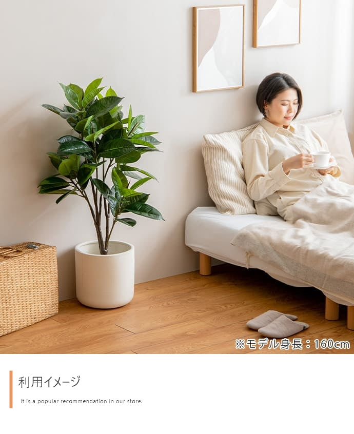光触媒人工観葉植物 ゴムの木 高さ95cm - 【公式】allecore(アレコレ) 家具インテリア・生活雑貨のオンライン通販