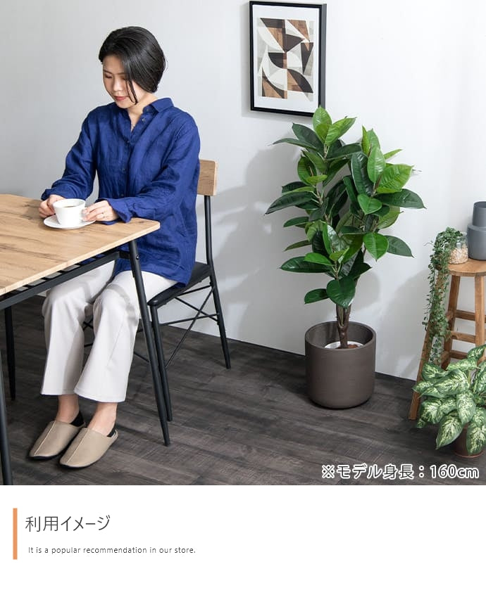 光触媒人工観葉植物 ゴムの木 高さ95cm - 【公式】allecore(アレコレ) 家具インテリア・生活雑貨のオンライン通販