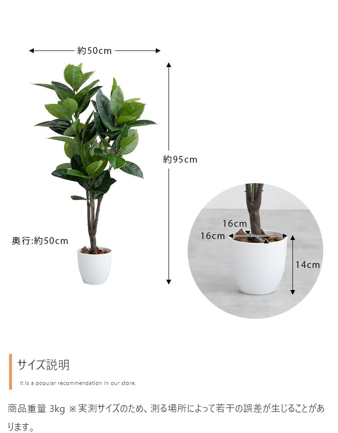 光触媒人工観葉植物 ゴムの木 高さ95cm - 【公式】allecore(アレコレ) 家具インテリア・生活雑貨のオンライン通販