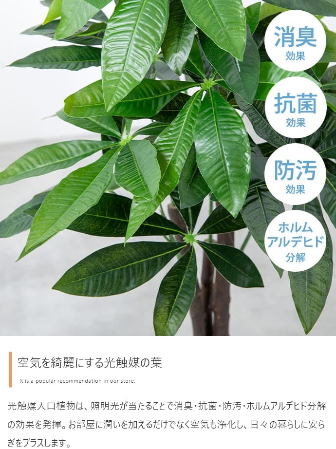 光触媒人工観葉植物 ゴムの木 高さ95cm - 【公式】allecore(アレコレ) 家具インテリア・生活雑貨のオンライン通販
