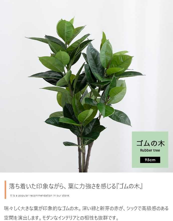 光触媒人工観葉植物 ゴムの木 高さ95cm - 【公式】allecore(アレコレ) 家具インテリア・生活雑貨のオンライン通販