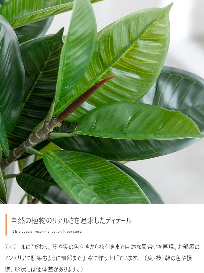 光触媒人工観葉植物 ゴムの木 高さ95cm - 【公式】allecore(アレコレ) 家具インテリア・生活雑貨のオンライン通販