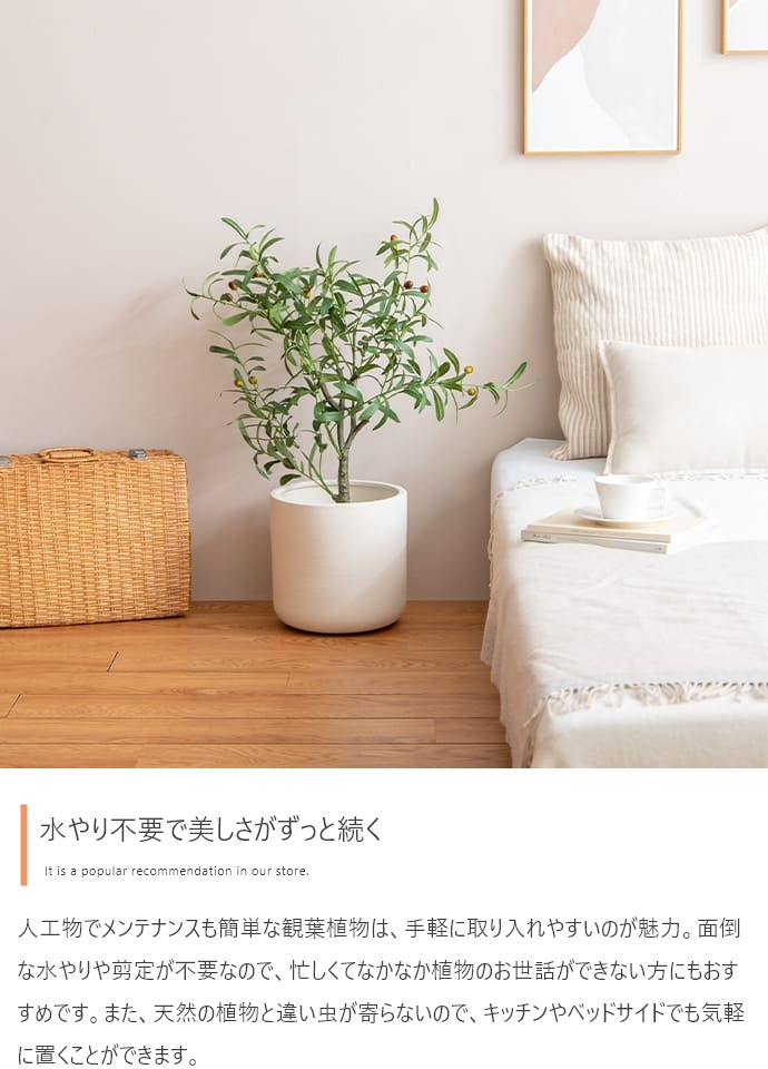 光触媒人工観葉植物 ゴムの木 高さ95cm - 【公式】allecore(アレコレ) 家具インテリア・生活雑貨のオンライン通販