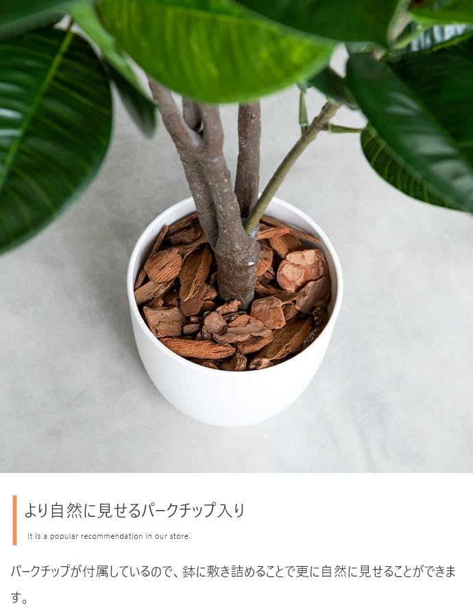 光触媒人工観葉植物 ゴムの木 高さ95cm - 【公式】allecore(アレコレ) 家具インテリア・生活雑貨のオンライン通販