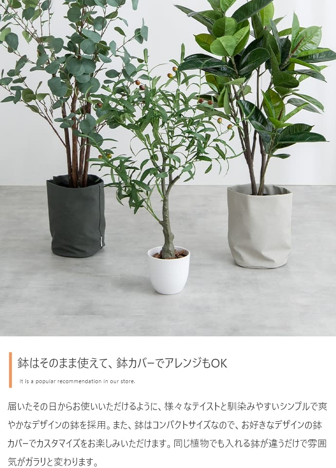 光触媒人工観葉植物 ゴムの木 高さ95cm - 【公式】allecore(アレコレ) 家具インテリア・生活雑貨のオンライン通販