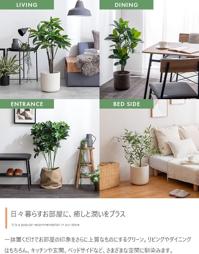 光触媒人工観葉植物 ゴムの木 高さ95cm - 【公式】allecore(アレコレ) 家具インテリア・生活雑貨のオンライン通販