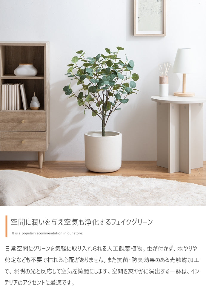 光触媒人工観葉植物 ユーカリ 高さ85cm - 【公式】allecore(アレコレ) 家具インテリア・生活雑貨のオンライン通販