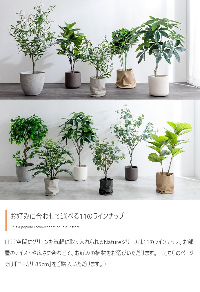 光触媒人工観葉植物 ユーカリ 高さ85cm - 【公式】allecore(アレコレ) 家具インテリア・生活雑貨のオンライン通販