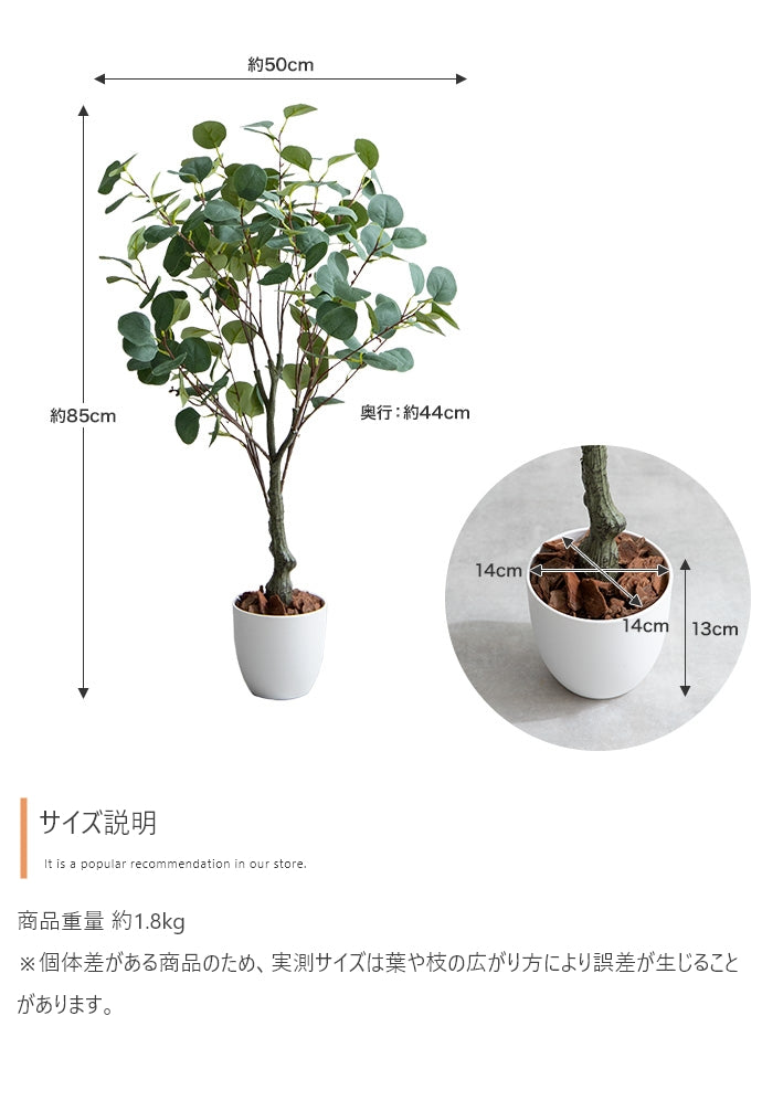 光触媒人工観葉植物 ユーカリ 高さ85cm - 【公式】allecore(アレコレ) 家具インテリア・生活雑貨のオンライン通販