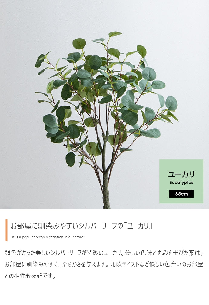 光触媒人工観葉植物 ユーカリ 高さ85cm - 【公式】allecore(アレコレ) 家具インテリア・生活雑貨のオンライン通販