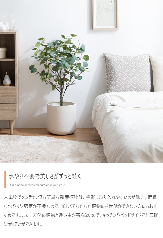 光触媒人工観葉植物 ユーカリ 高さ85cm - 【公式】allecore(アレコレ) 家具インテリア・生活雑貨のオンライン通販