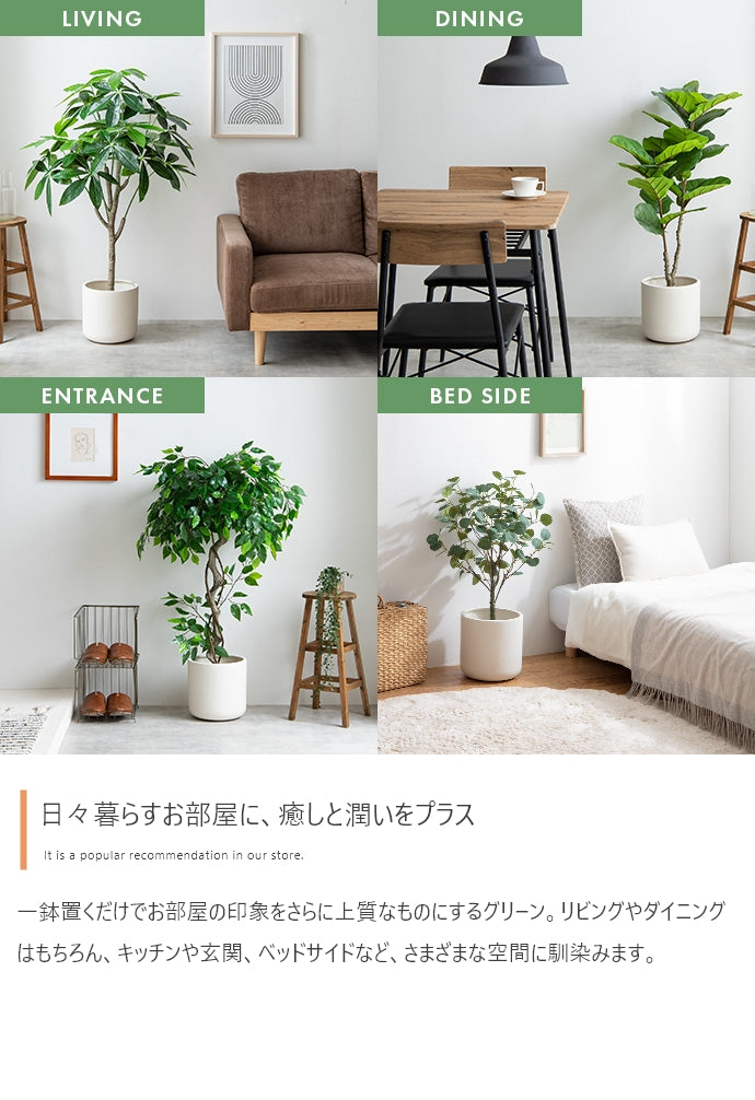 光触媒人工観葉植物 ユーカリ 高さ85cm - 【公式】allecore(アレコレ) 家具インテリア・生活雑貨のオンライン通販