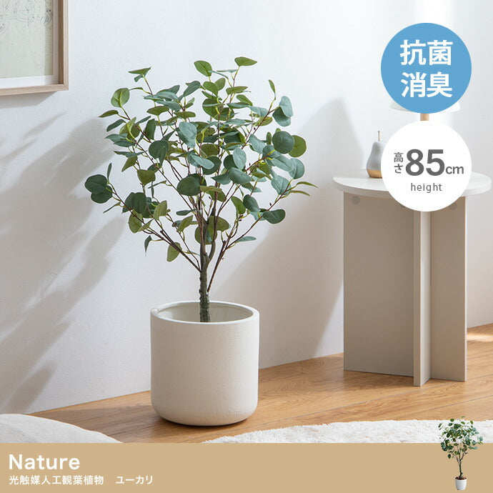 光触媒人工観葉植物 ユーカリ 高さ85cm - 【公式】allecore(アレコレ) 家具インテリア・生活雑貨のオンライン通販