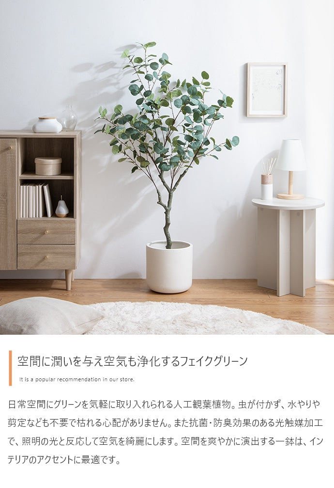 光触媒人工観葉植物 ユーカリ 高さ130cm - 【公式】allecore(アレコレ) 家具インテリア・生活雑貨のオンライン通販