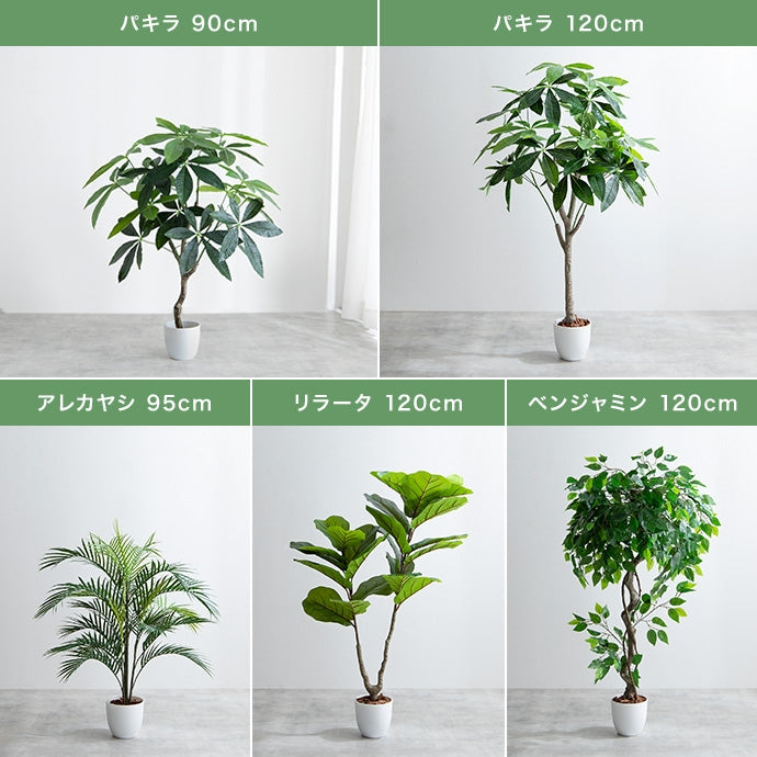 光触媒人工観葉植物 ユーカリ 高さ130cm - 【公式】allecore(アレコレ) 家具インテリア・生活雑貨のオンライン通販