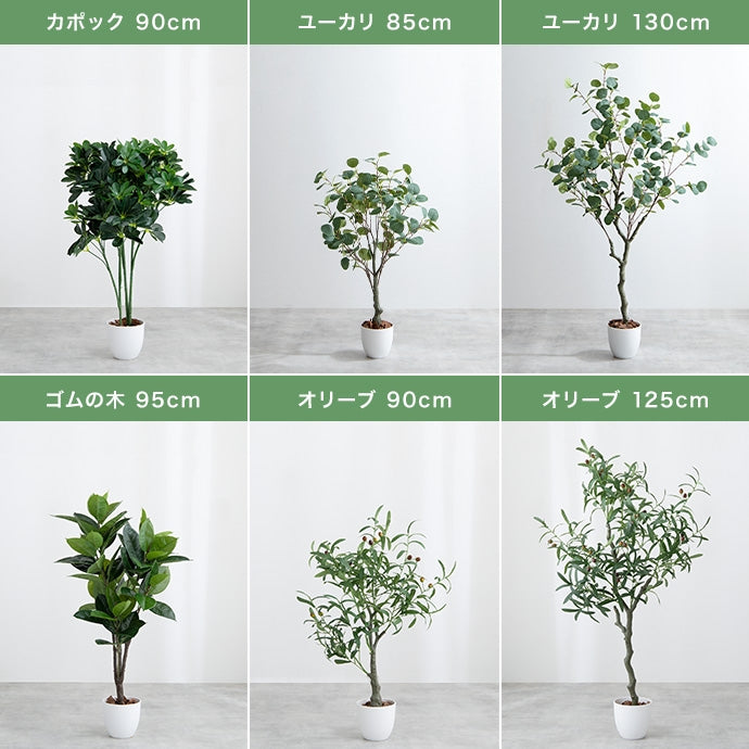光触媒人工観葉植物 ユーカリ 高さ130cm - 【公式】allecore(アレコレ) 家具インテリア・生活雑貨のオンライン通販