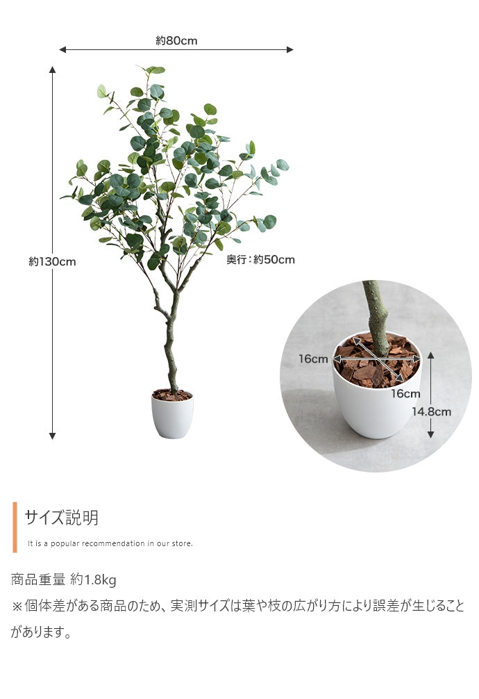 光触媒人工観葉植物 ユーカリ 高さ130cm - 【公式】allecore(アレコレ) 家具インテリア・生活雑貨のオンライン通販