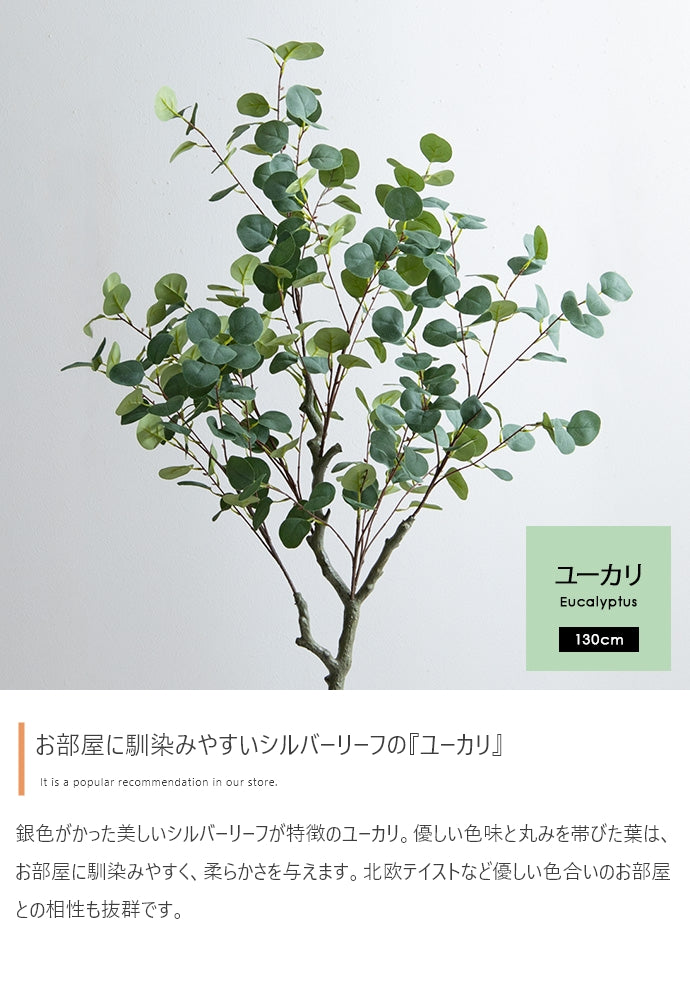 光触媒人工観葉植物 ユーカリ 高さ130cm - 【公式】allecore(アレコレ) 家具インテリア・生活雑貨のオンライン通販