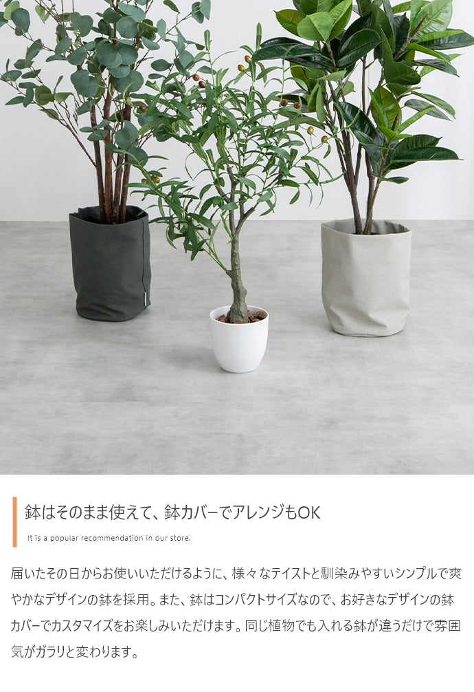 光触媒人工観葉植物 ユーカリ 高さ130cm - 【公式】allecore(アレコレ) 家具インテリア・生活雑貨のオンライン通販