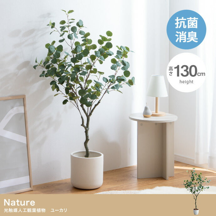 光触媒人工観葉植物 ユーカリ 高さ130cm - 【公式】allecore(アレコレ) 家具インテリア・生活雑貨のオンライン通販