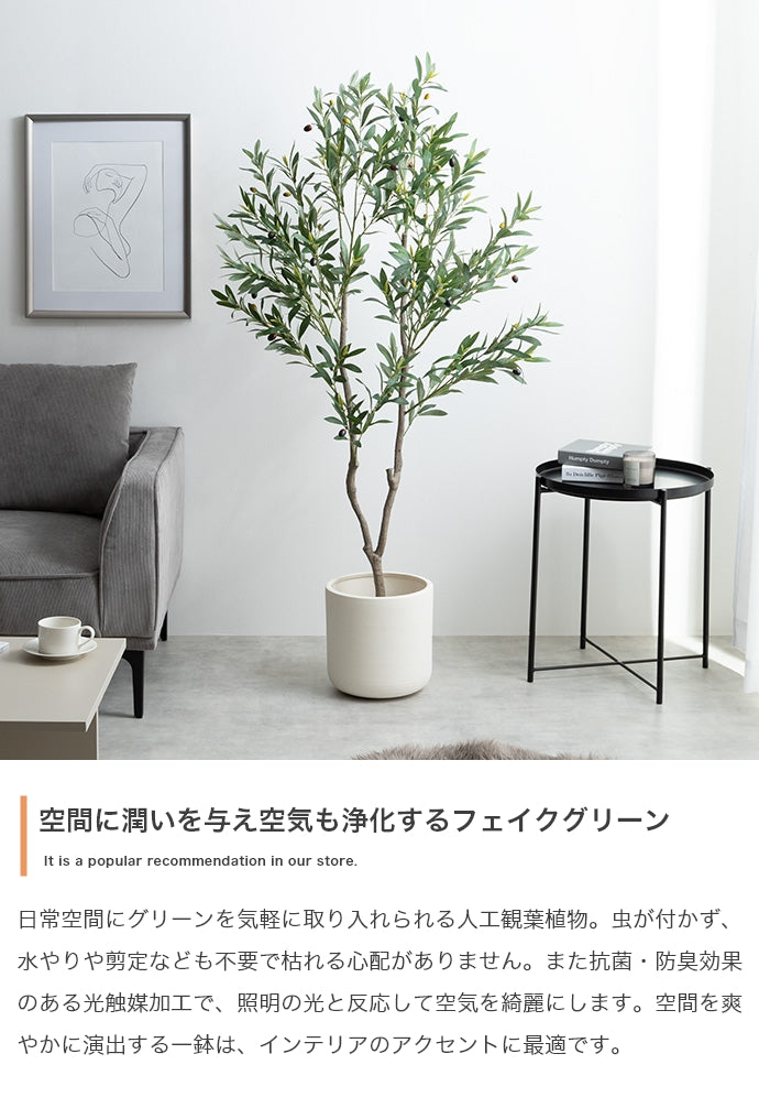 光触媒人工観葉植物 オリーブ 高さ150cm - 【公式】allecore(アレコレ) 家具インテリア・生活雑貨のオンライン通販