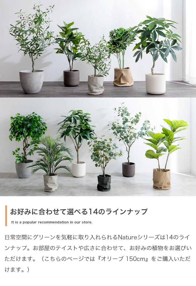 光触媒人工観葉植物 オリーブ 高さ150cm - 【公式】allecore(アレコレ) 家具インテリア・生活雑貨のオンライン通販