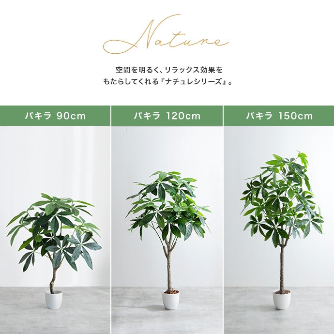 光触媒人工観葉植物 オリーブ 高さ150cm - 【公式】allecore(アレコレ) 家具インテリア・生活雑貨のオンライン通販
