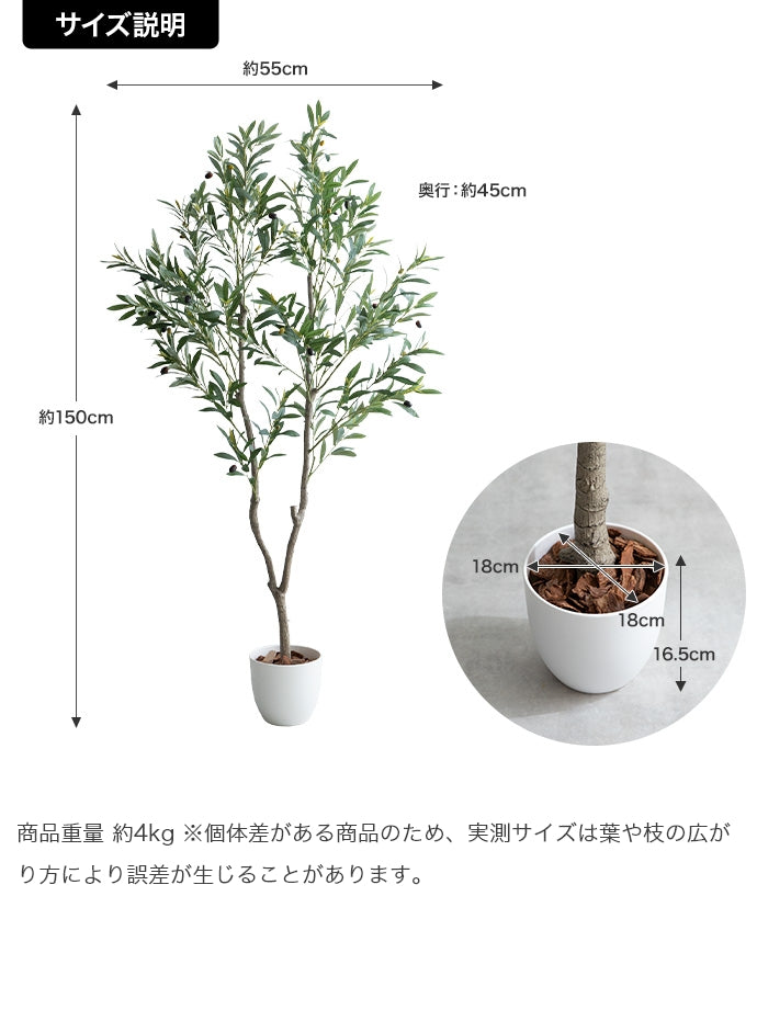 光触媒人工観葉植物 オリーブ 高さ150cm - 【公式】allecore(アレコレ) 家具インテリア・生活雑貨のオンライン通販