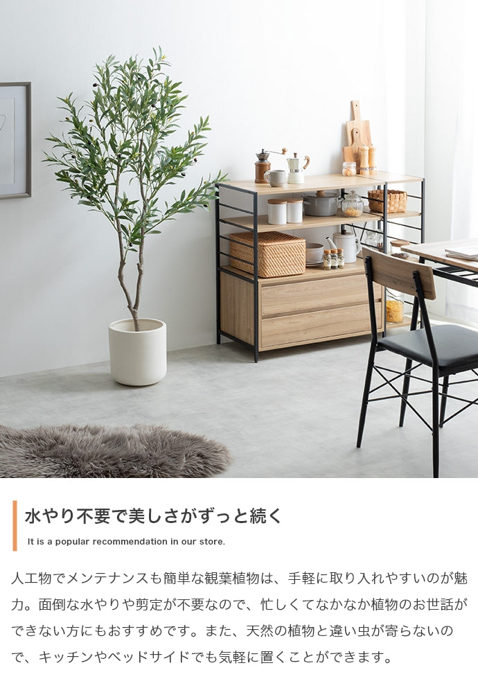 光触媒人工観葉植物 オリーブ 高さ150cm - 【公式】allecore(アレコレ) 家具インテリア・生活雑貨のオンライン通販