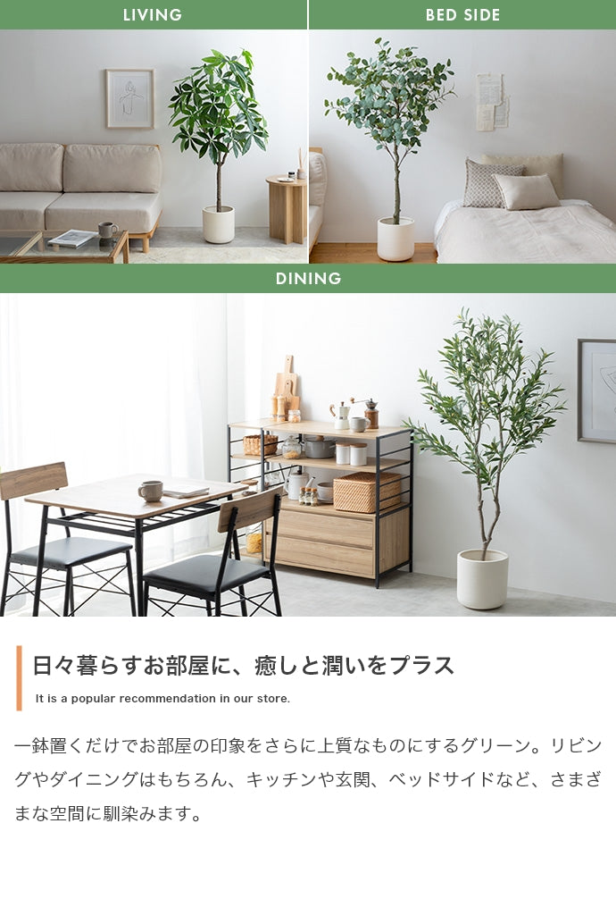 光触媒人工観葉植物 オリーブ 高さ150cm - 【公式】allecore(アレコレ) 家具インテリア・生活雑貨のオンライン通販