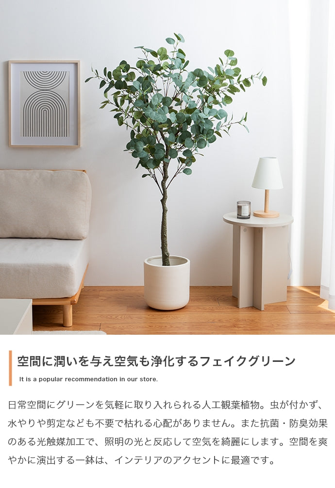 光触媒人工観葉植物 ユーカリ 高さ150cm