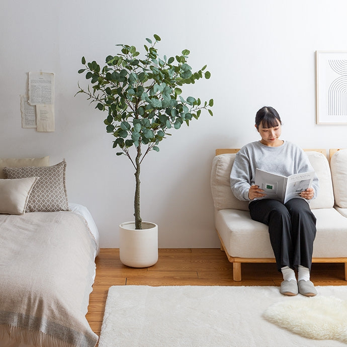 光触媒人工観葉植物 ユーカリ 高さ150cm