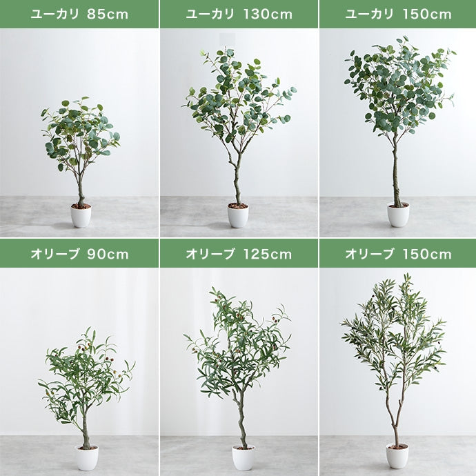 光触媒人工観葉植物 ユーカリ 高さ150cm