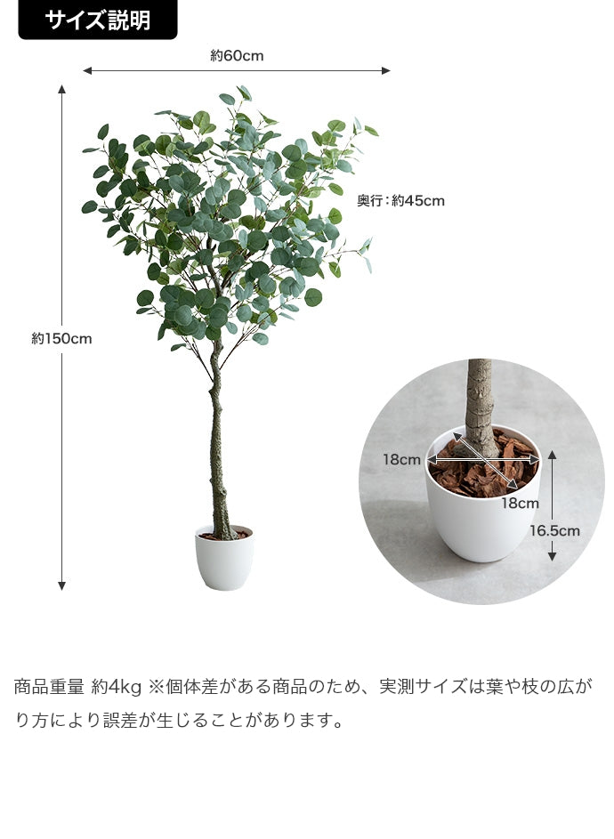 光触媒人工観葉植物 ユーカリ 高さ150cm
