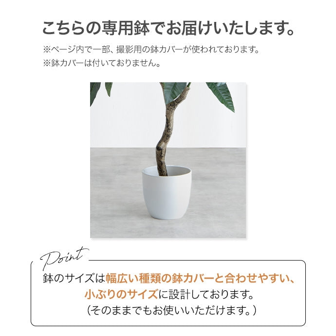 光触媒人工観葉植物 ユーカリ 高さ150cm