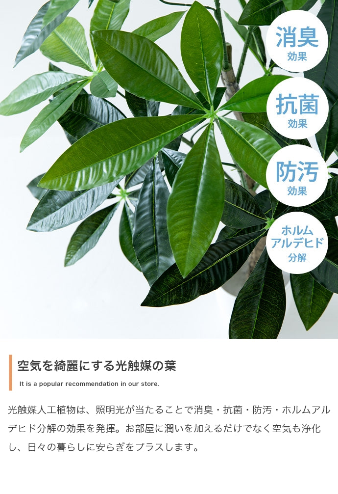 光触媒人工観葉植物 ユーカリ 高さ150cm