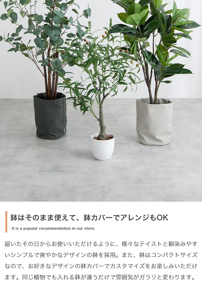 光触媒人工観葉植物 ユーカリ 高さ150cm