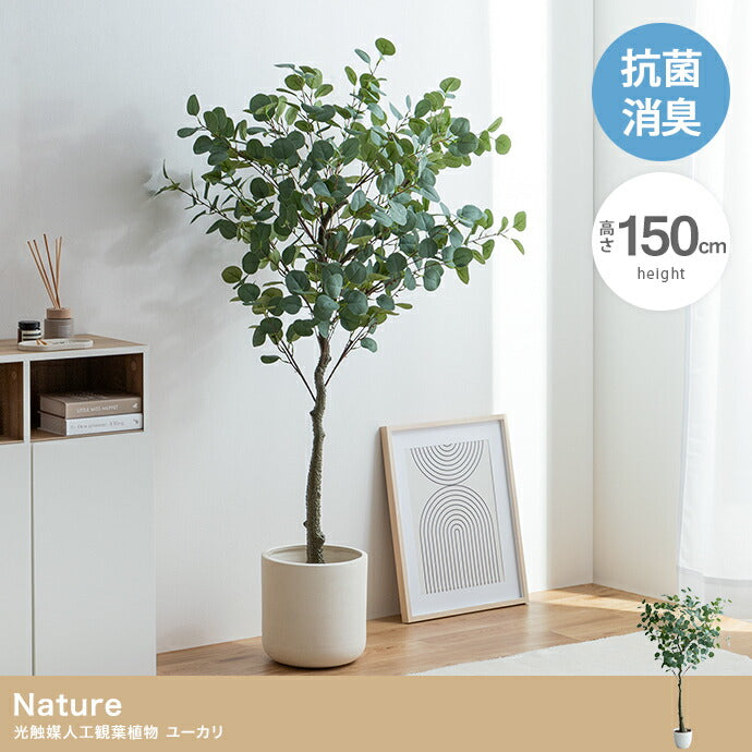 光触媒人工観葉植物 ユーカリ 高さ150cm